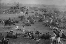 IND009