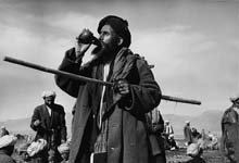AFG022