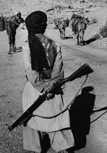 AFG040