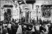 ALG035