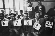 ALG73