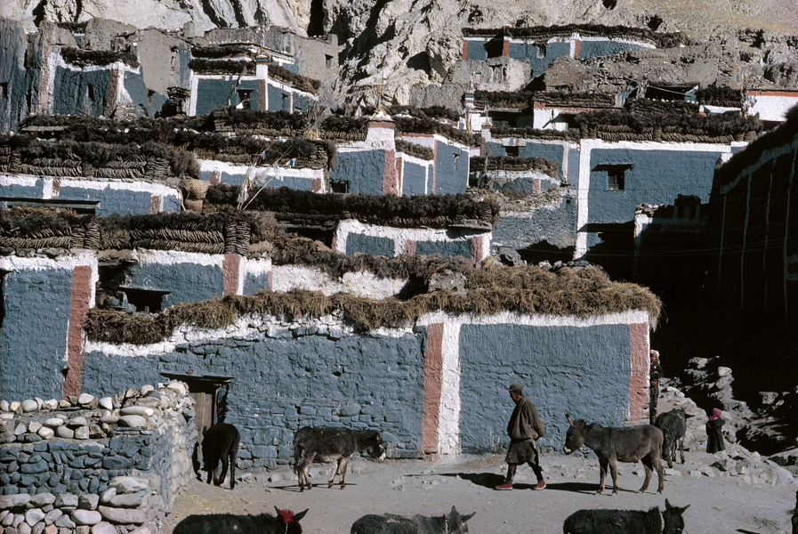 tibet046