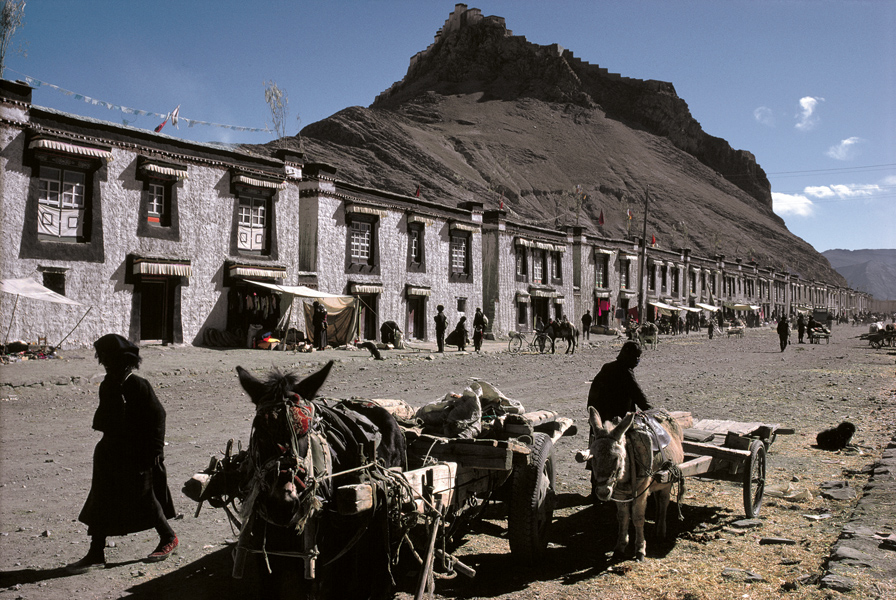 tibet049