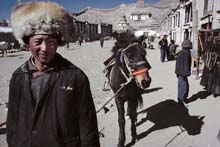 tibet060