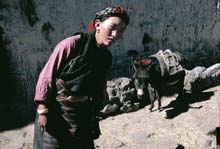 tibet104