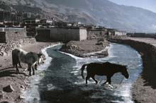 tibet111